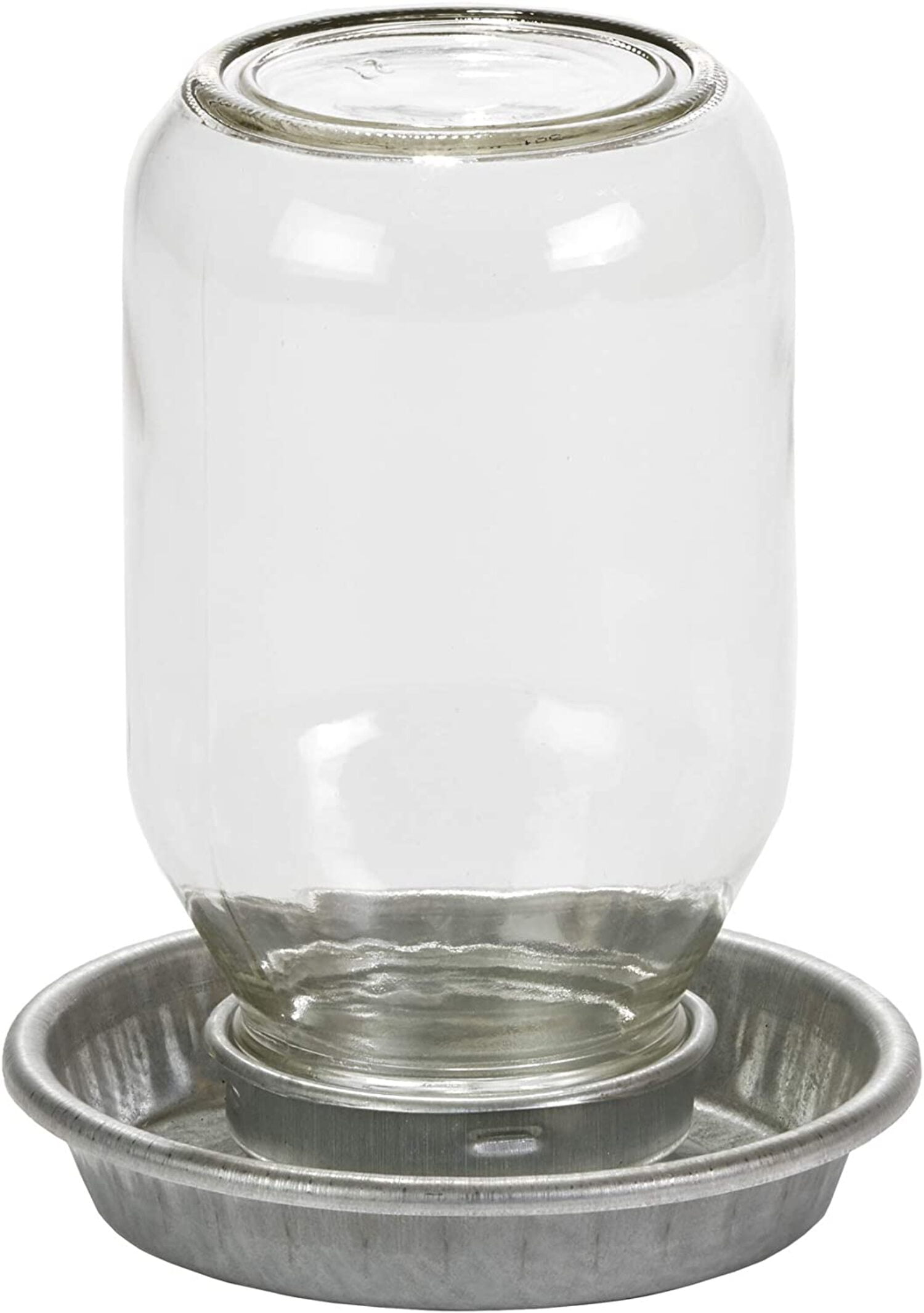 MILLER MANUFACTURING COMPANY Little Giant Glass Mason Jar Baby Chick Waterer, 1 Quart