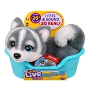 Little Live Pets My Really Real Puppy Minis Aurora the Husky Interactive Puppy 20+ Sounds & Reactions Ages 5+