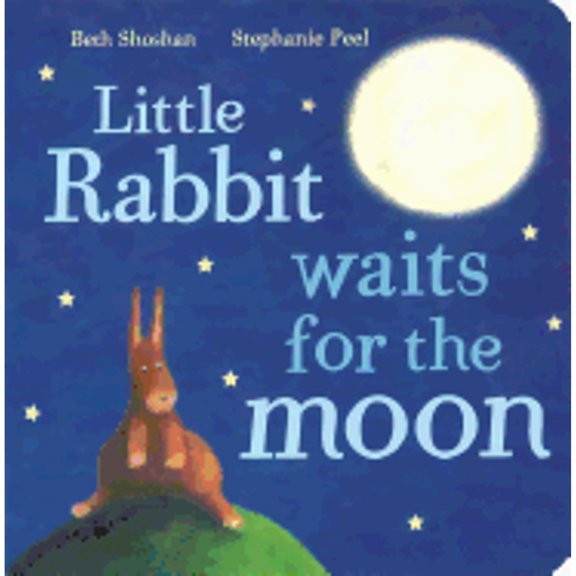 Pre-Owned Little Rabbit (Hardcover) 1445482053 9781445482057