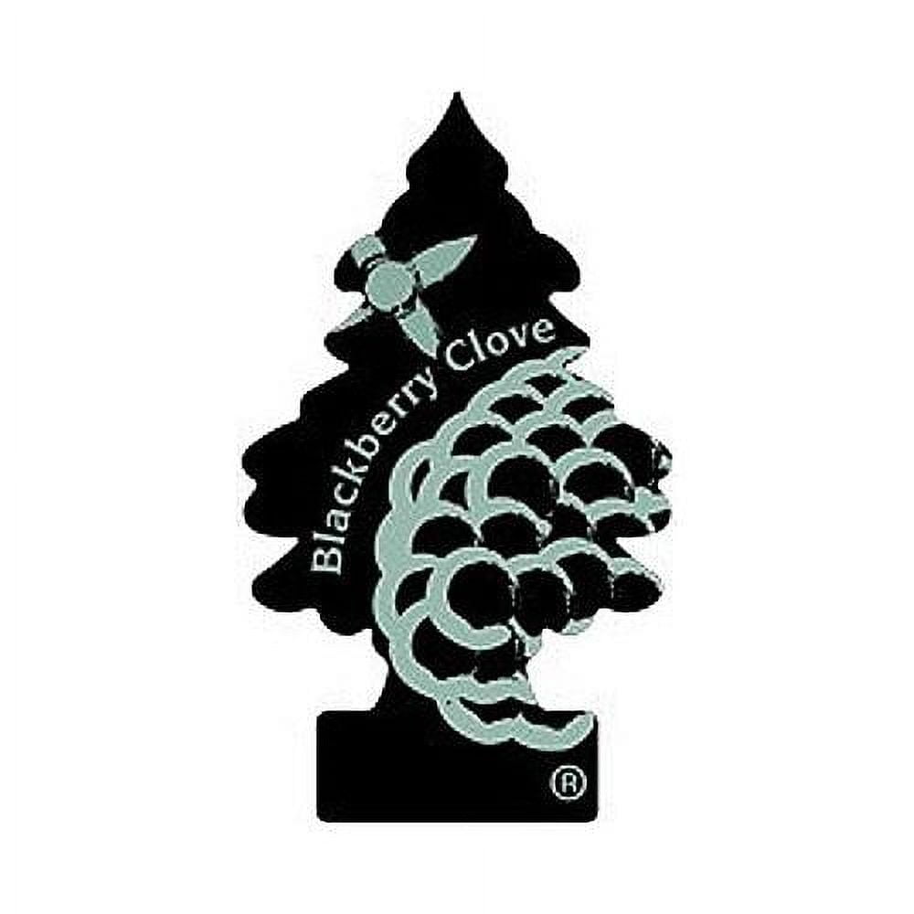 LITTLE TREES Car Air Freshener, Blackberry Clove