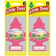 thumbnail image 1 of LITTLE TREES Car Air Freshener, Hanging Paper Tree for Home or Car, Morning Fresh (12 Pack), 1 of 3
