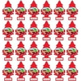 thumbnail image 1 of LITTLE TREES Car Air Freshener | Hanging Paper Tree for Home or Car | Wild Cherry | 24 Pack, 1 of 5