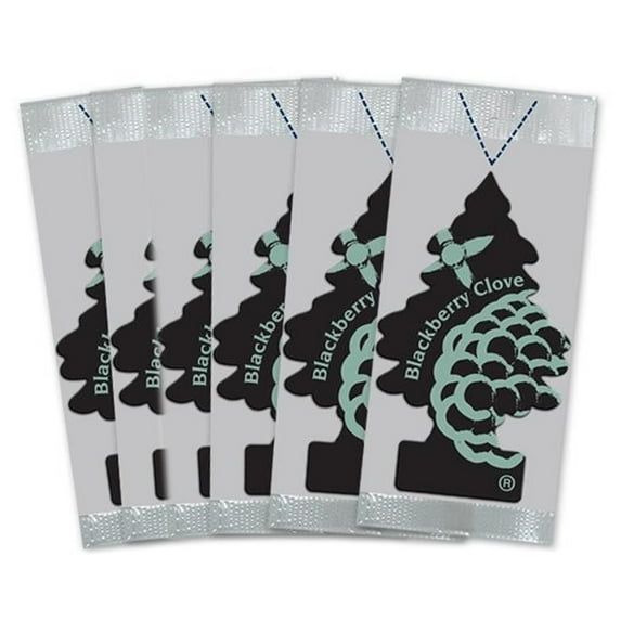 LITTLE TREES Car Air Fresheners 6 Pack, Blackberry Clove