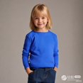 thumbnail image 1 of LIUYUNNN Kids Boys T Shirts Blue Pullover Long Sleeve Crewneck T-Shirts Fall Tops Tees Cottom Boy Shirt Boys 4-5 Years ClothesBoys Girls Fall and Winter Outfits, 1 of 4