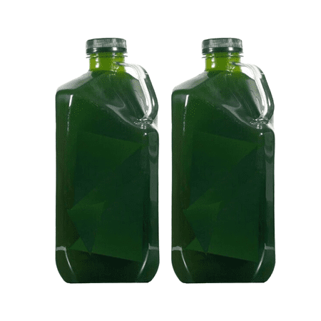 LIVE Phytoplankton Tetra - 1/2 Gal! - Fast Free Shipping! - Premium Phyto!