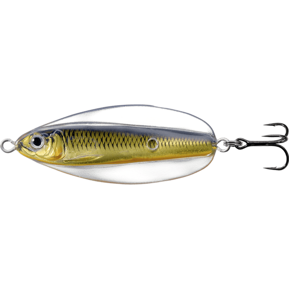 LiveTarget Erratic Shiner- Casting Spoon, 2 3/4", 3/4oz, Gold/Black