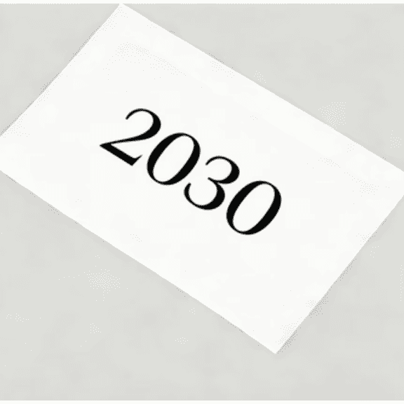 LIX 2030 Ink Chip for Lix CIJ Inkjet Printers