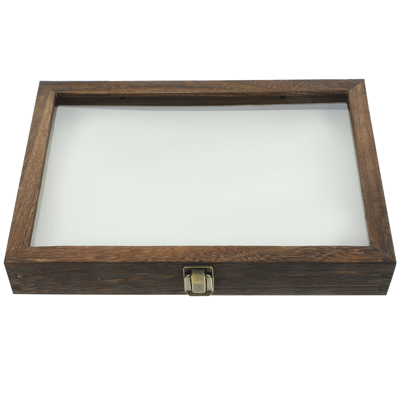 LIYUNMIAO Wooden Tabletop Bug Display Case with Clear Window for ...