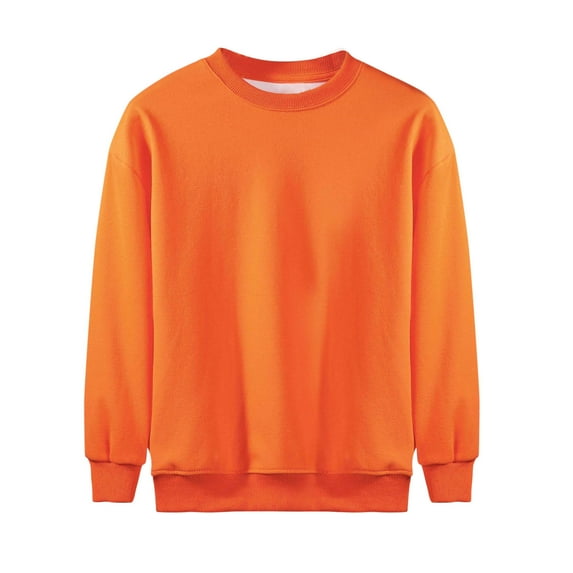 LIaqionyy Boys Girls Crew Neck Sweatshirt Casual Basic Long Sleeve Pullover Shirt for Toddler Kids