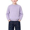 thumbnail image 1 of LIaqionyy Boys Sweater Crew Neck Pullover Knit Soft Long Sleeve Fall Winter Casual Top Sweaters for Kids, 1 of 8