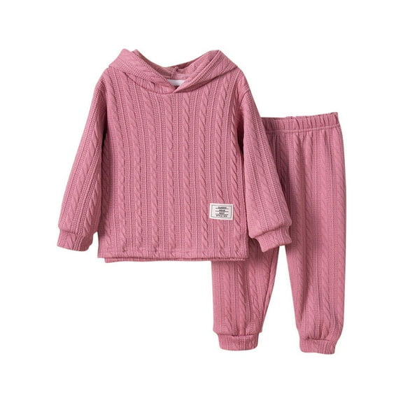 LIaqionyy Girls Clothes Sets Long Sleeve Hooded Sweatshirt Tops Pant Little Girl Outfits Fall Winter 2 Piece Set