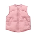 thumbnail image 1 of LIaqionyy Kids Puffer Vest Lightweight Winter Jacket Pocket Sleeveless Zip up Mock Neck Outwear for Boys Girls, 1 of 4