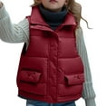 thumbnail image 1 of LIaqionyy Kids Puffer Vest Winter Zip up Warm Coat Lightweight Sleeveless Jacket Outwear for Boys Girls, 1 of 4
