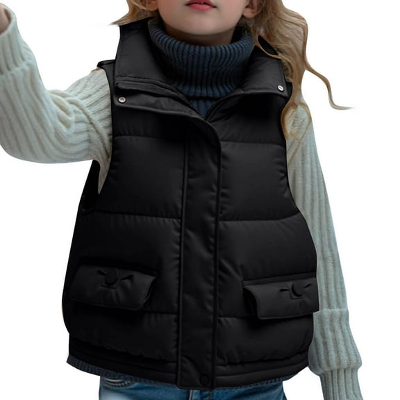 LIaqionyy Kids Puffer Vest Winter Zip up Warm Coat Lightweight Sleeveless Jacket Outwear for Boys Girls