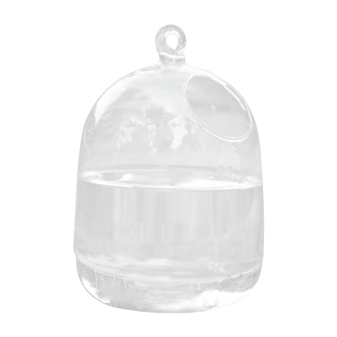 LKWLPD Glass Hanging Aquarium Bowl 5.9x3.9-Inch Clear Mini Fish Tank for Tabletop, Desk, or Home Decor Transparent Wall-Mounted Water Feature
