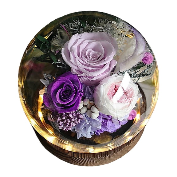 LKWLPD Preserved Real Flowers Gifts for Her,Women,Wife,Mom, Forever Fresh Roses in Glass Dome with LED Lights for Home Decor for Delivery Prime Valentines, Mothers Day, Christmas, Wedding