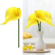 Day Lilies & Lily Plants: Bulbs & Potted Flowers | Yellow