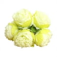LLQEUIB Home Flowers That Look Real Flower Stems Fivehead Peony Letters