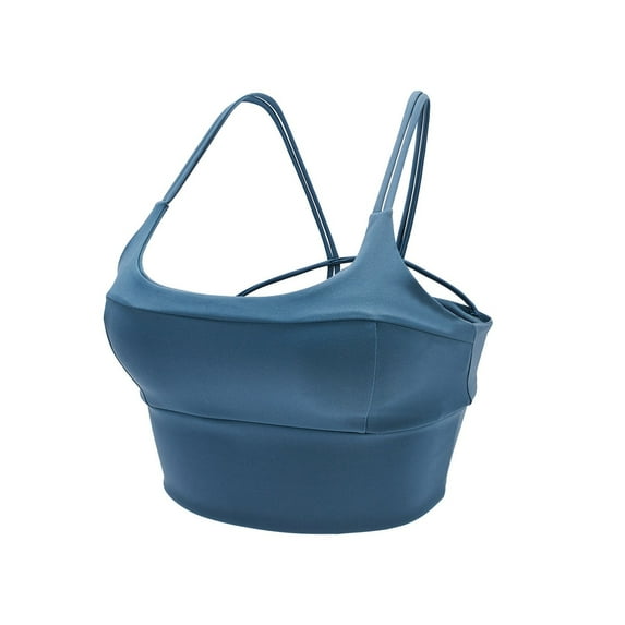 LLYWEY Bras for Women Comfort Bras Ladies Lace Bra Style-1010 Women's Plus Lace Bra Feature Adult Female Wireless Sports Bras Blue 40B