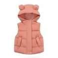 thumbnail image 1 of LLYwey Baby Plush Jackets Toddler Kids Baby Boys Girls Fashion Cute Solid Color Windproof Padded Clothes Jackets Hooded Coat New Sleeveless Hoodies Casual Jackets Outwear Pinks 3T, 1 of 9