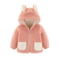 thumbnail image 1 of LLYwey Kids Zip up Hoodie Winter Toddler Baby Boys Girls Color Plush Cute Bear Ears Winter Thick Keep Warm Coat Jackets New Big Boys Long Sleeve Hoodies Casual Jackets Outwear Pinks 3-4T, 1 of 7