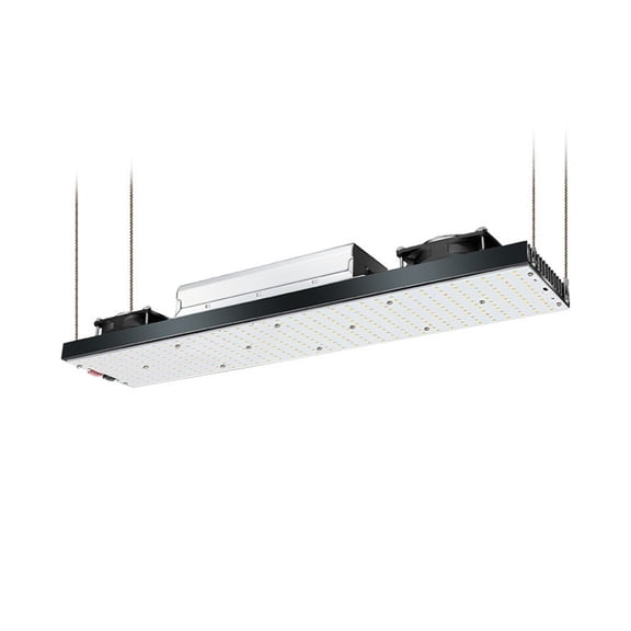 LM301h LED Grow Full Spectrum LED Grow Lights 240W 480W 720W Grow Light For Indoor Vegetable Flower Seedling ,Higher Efficiency