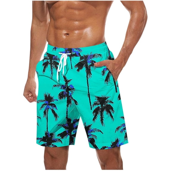 LMOIPLI Mens Print Quick Dry Beach Board Shorts Elastic Waist Drawstring Casual Fashion Short Pants with Pockets Mint Green XXL