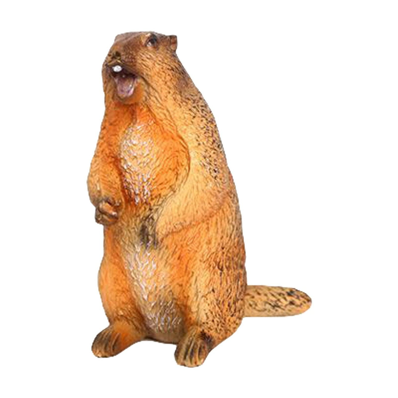 LMTODLFG Groundhog Figurine Groundhog Sculpture Groundhog Model Animal
