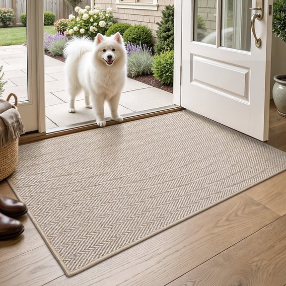 FRABE Non Slip Door Mat Low Profile Entryway Rug with Herringbone Design, Pet Friendly Washable Doormat for Patio Porch Beige 32"x48"