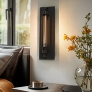 Modern Black Vertical Wall Sconce, 18.5"H Industrial Cage Light, E26 T10, Dimmable