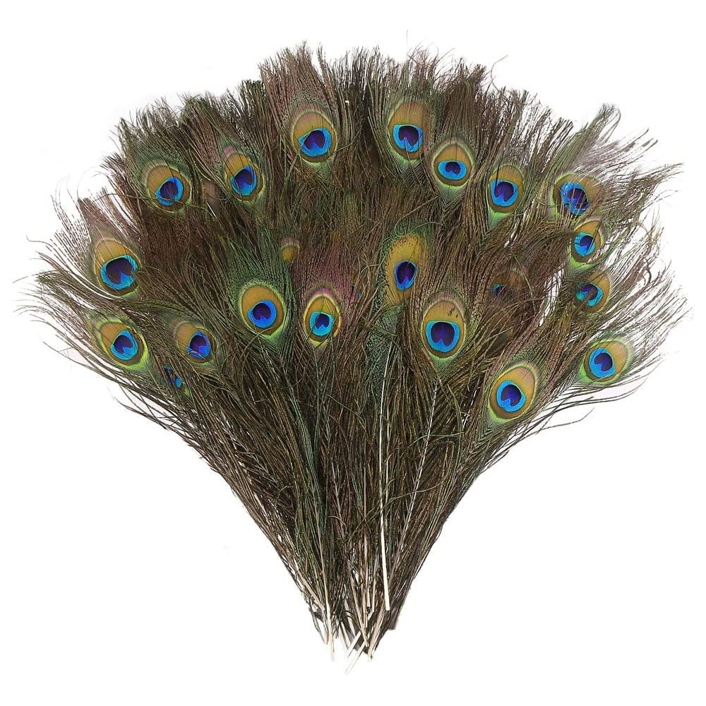 LNGOOR 100 Pieces Natural Peacock Feathers for Craft Halloween Costume Bridesmaid Corsage Christmas Wreath and Home Decor (10-12 inches)