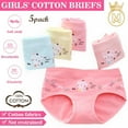 thumbnail image 1 of LNKOO 5-Pack Little Girls Soft Underwear Toddler Baby Panties Kids Briefs,Toddler Soft Cotton Underwear Baby Panties Little Girls' Assorted Briefs (Candy Color For 1-3 Years）, 1 of 7