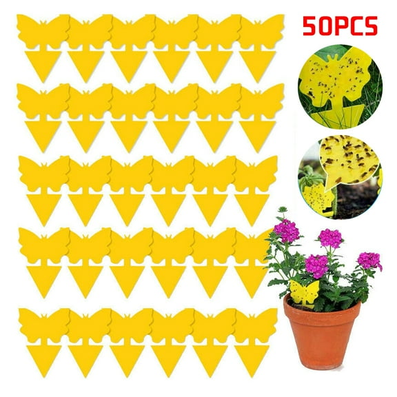 LNKOO 50Pcs Sticky Trap Fruit Fly and Gnat Trap Yellow Sticky Bug Traps for Indoor/Outdoor Use - Insect Catcher for White Flies Mosquitos Fungus Gnats Flying Insects - Disposable Glue Trappers