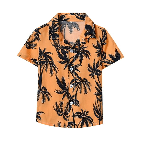 LNMQLPDBS Boys Hawaiian Shirt Tropical Botanical Print Short Sleeve T Shirts Toddler Button Down Lapel Shirt Summer Trendy Loose Casual Tops for Kids C 5 Years