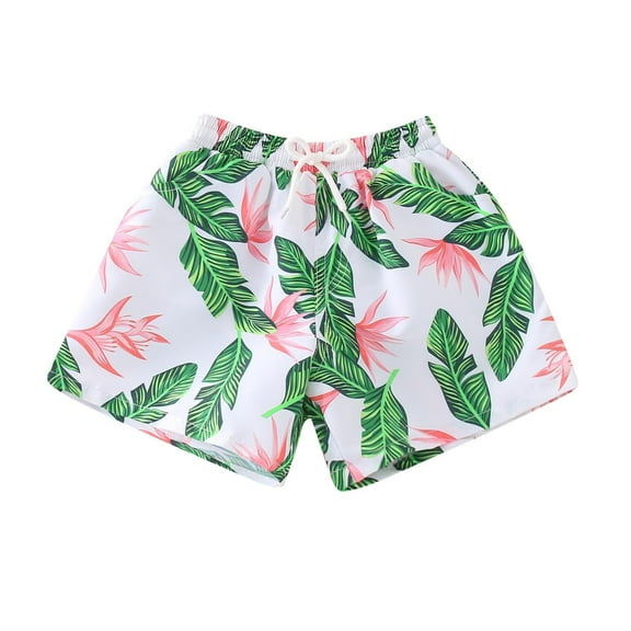 LNMQLPDBS Boys' Swimwear Tropical Botanical Fruit Printed Elastic Waist Quick Dry Beach Shorts with Pockets Baby Boy Swim Trunks Swimsuit for Kids Toddler Bathing Suits for Surfing for Seaside Play
