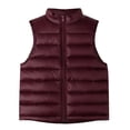 thumbnail image 1 of LNMQLPDBS Girls Winter Down Puffer Vest Lightweight Sleeveless Stand Collar Zip Up Outerwear Kids Casual Warm Quilted Gilet for Daily Outdoor Cold Weather Layering, 1 of 3