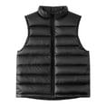 thumbnail image 1 of LNMQLPDBS Girls Winter Down Puffer Vest Lightweight Sleeveless Stand Collar Zip Up Outerwear Kids Casual Warm Quilted Gilet for Daily Outdoor Cold Weather Layering, 1 of 1
