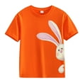 thumbnail image 1 of LNMQLPDBS Kids Easter Shirt Girls Cute Comfortable Easter Bunny Printed Short Sleeve Crewneck Tshirts Spring and Autumn New Fashionable Tops Orange 8-9 Years, 1 of 6