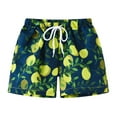 thumbnail image 1 of LNMQLPDBS Toddler Swim Trunks Cute Casual Loose Hawaiian Print Shorts Little Boys Bathing Suit Swimsuit Toddler Boy Swimwear Beach Swim Boards Shorts Summer Quick Dry Beach Shorts﻿ A 2-3 Years, 1 of 3