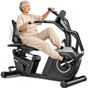 LNOW Recumbent Bike with Arm Exercisers for Seniors – 16-Level Magnetic Resistance & HR Monitor