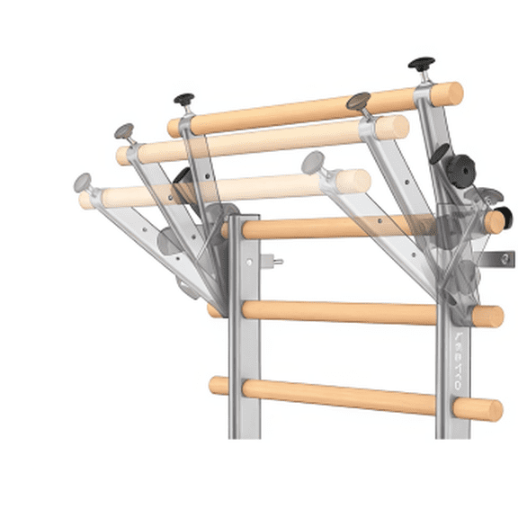 LNOW Swedish Ladder
