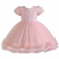 thumbnail image 1 of LNWUY (2-10 Years) Girls' Middle-aged Children's Cute Fashion Sleeveless Embroidered Mesh Dress Casual Soft Comfy Princess Dress Pink 6-7 Years, 1 of 9