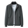 thumbnail image 1 of LNWUY Men's Big and Tall Full Zip Up Sweatshirts Mock Neck Solid Color Long Sleeves Sporty Workout Jacket with Pockets Gray XXXL, 1 of 6