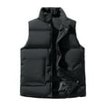 thumbnail image 1 of LNWUY Men's Puffer Vest Casual Stand Collar Thickened Sleeveless Quilted Waistcoat Outdoor Padded Solid Color Cotton Clothing Black XXL, 1 of 8