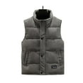 thumbnail image 1 of LNWUY Mens Autumn and Winter Warm Outdoor Casual Stand Collar Padded Vest Coat Thick Fleece Lined Sleeveless Jacket Gray S, 1 of 8