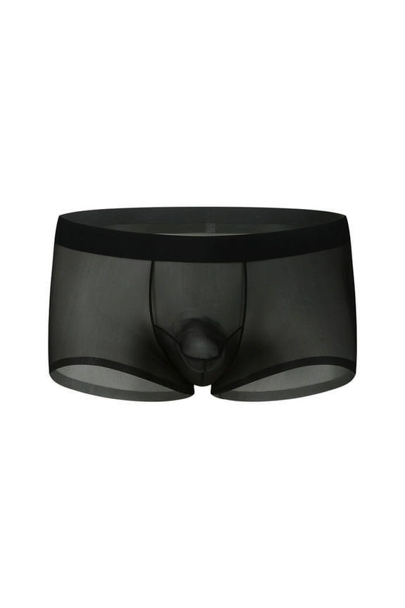 Mens See Through Boxer Briefs Ice Silk Trunks Underwear Ultra Thin Soft Sheer Bulge Pouch Boxer Shorts Black XXL