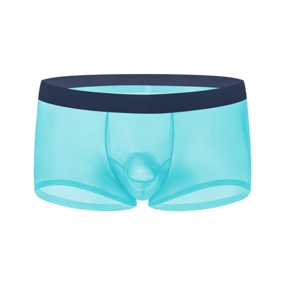 LNWUY Mens See Through Boxer Briefs Ice Silk Trunks Underwear Ultra Thin Soft Sheer Bulge Pouch Boxer Shorts Blue L