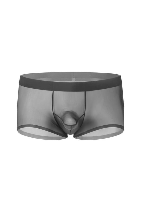 Mens See Through Boxer Briefs Ice Silk Trunks Underwear Ultra Thin Soft Sheer Bulge Pouch Boxer Shorts Gray L