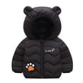 thumbnail image 1 of LNWUY Toddler Kids Boys Girls Winter Fleece Padded Jacket Hooded Zip Jacket Coat Lightweight Puffer Jacket Black 12 Months, 1 of 5