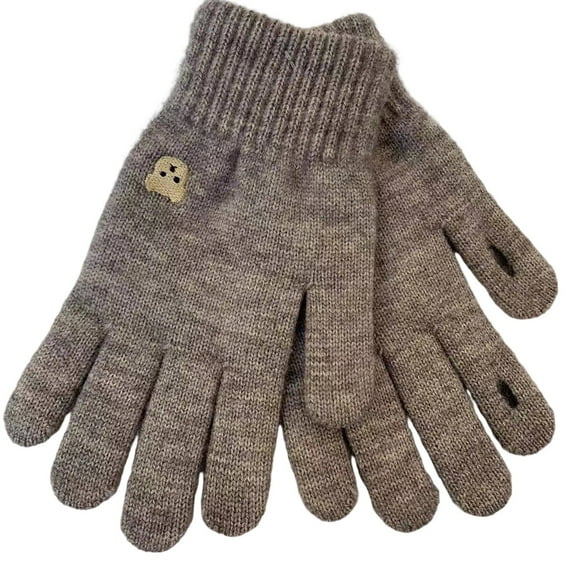 LNWUY Winter Women's Warm Plush Fleece Lined Knit Gloves Solid Color Cold-proof Touch Screen Gloves Gray Free Size